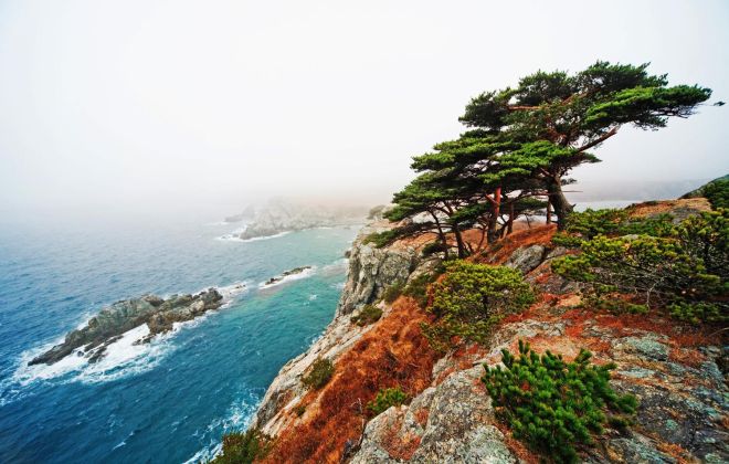 Край моря, сопок и леопардов