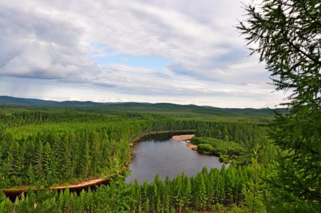 Ближе к звездам и динозаврам