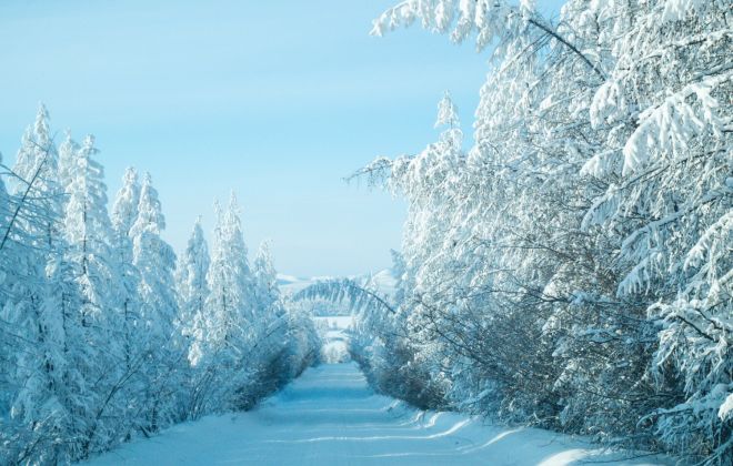 Якутия: царство мамонтов, холода и легенд