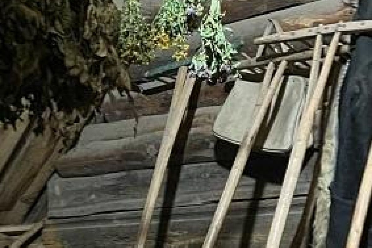 Архангельск Карпогоры «Пинежское гостевание»