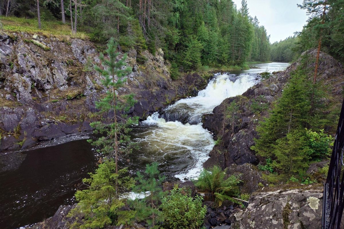 «Бренды Карелии» (экскурсия)