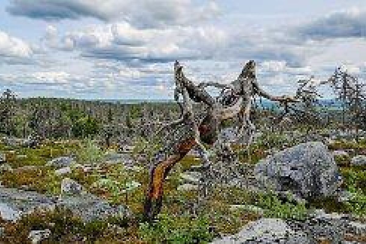 Экскурсия к мистической горе Воттоваара