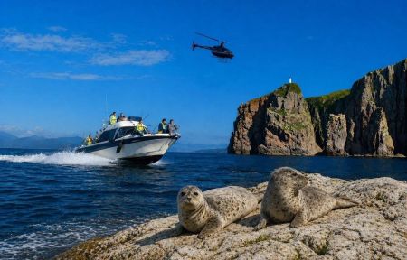 Морское приключение Владивостока: острова, скалы, морские котики и морепродукты