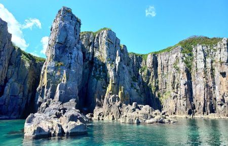 "Земля леопарда" + морская экскурсия + тюлени (индивидуально)