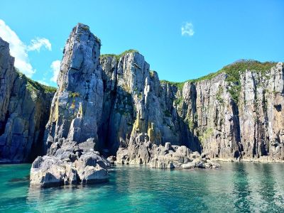 "Земля леопарда" + морская экскурсия + тюлени (индивидуально)