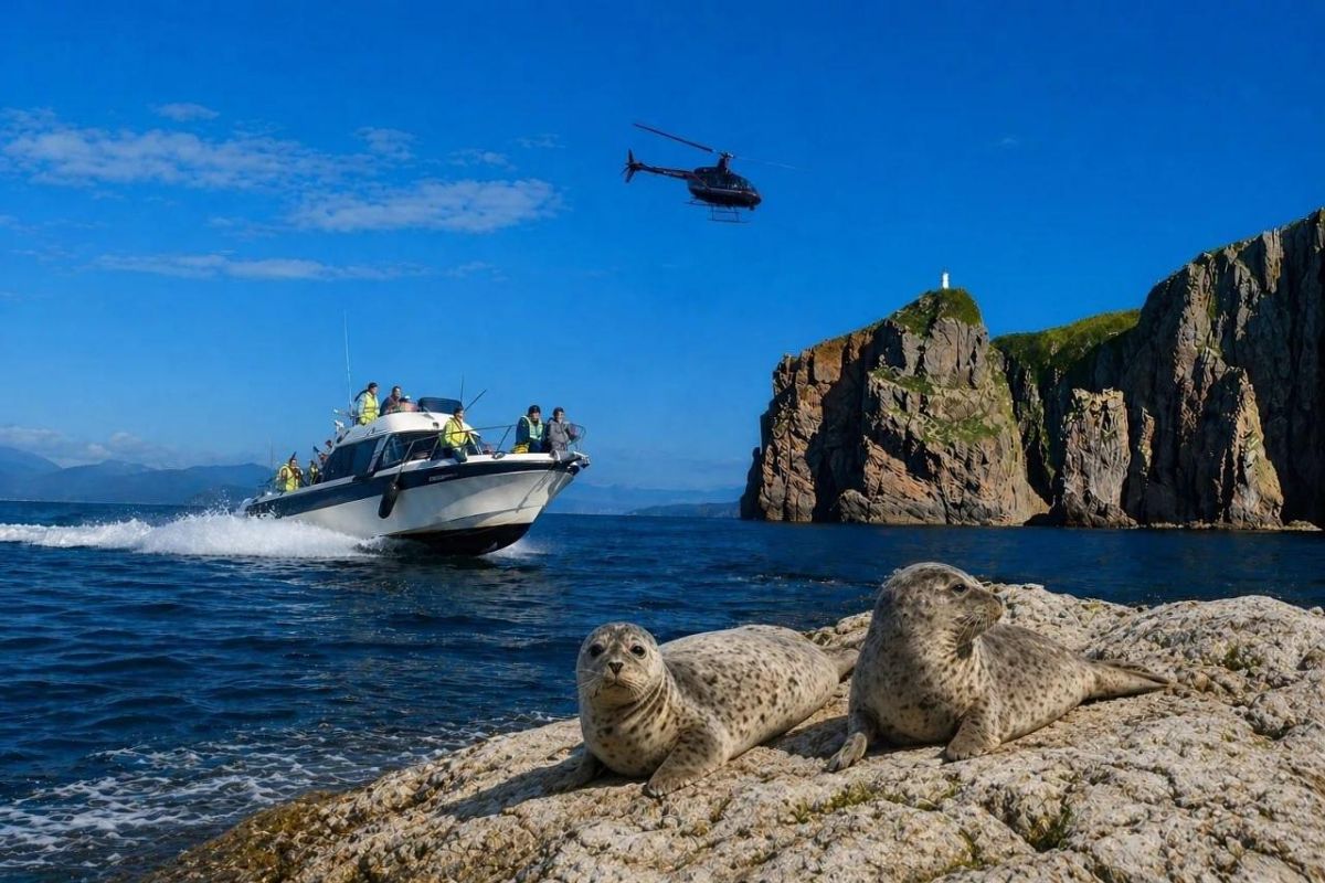 Морское приключение Владивостока: острова, скалы, морские котики и морепродукты