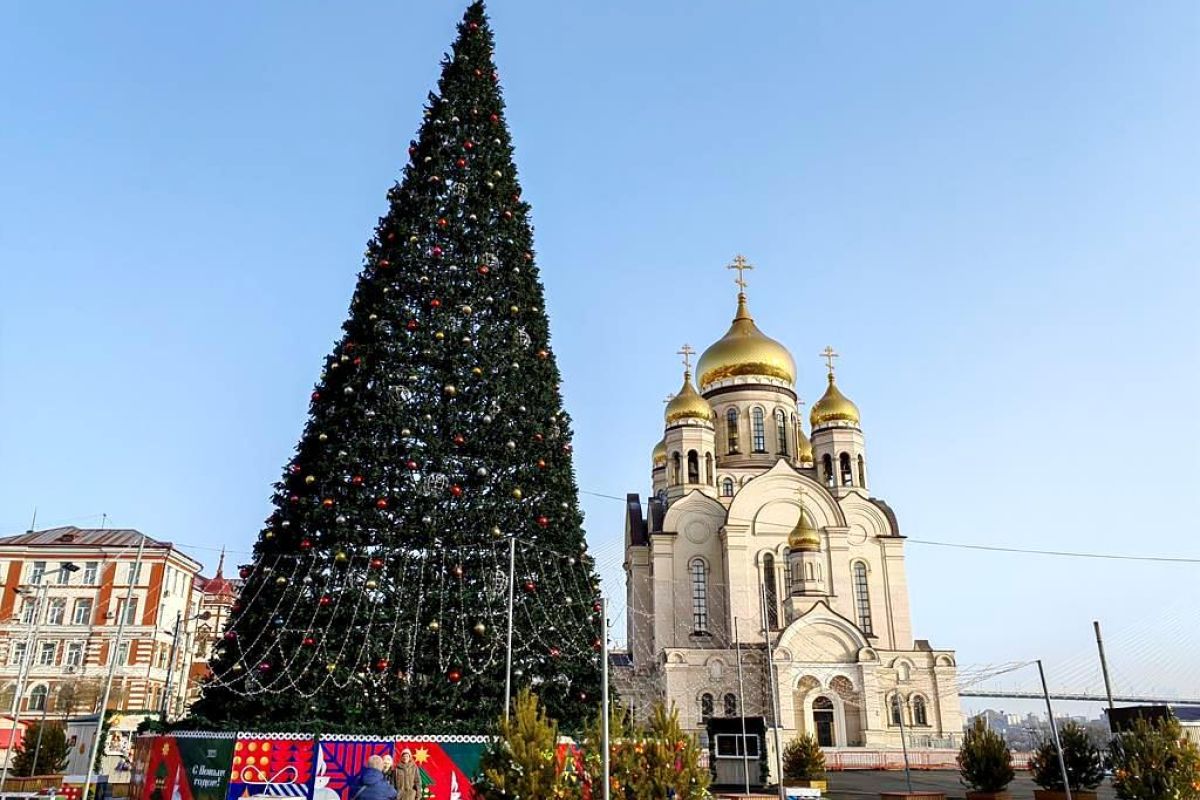 Владивосток «Тур "С новым годом, кошка!"»