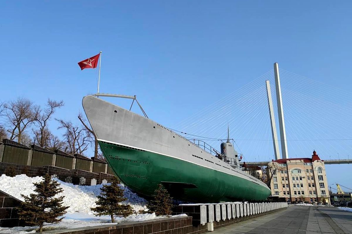 Владивосток «Тур "С новым годом, кошка!"»