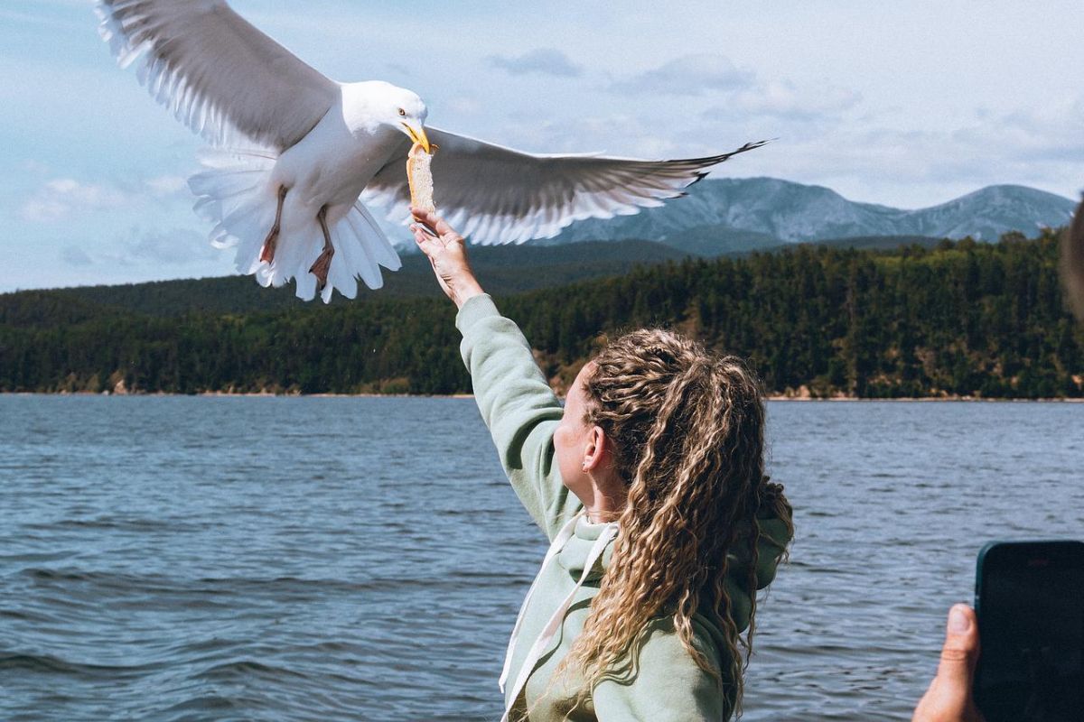 САХАЛИ V Весь Байкал за 10 дней Улан-Удэ