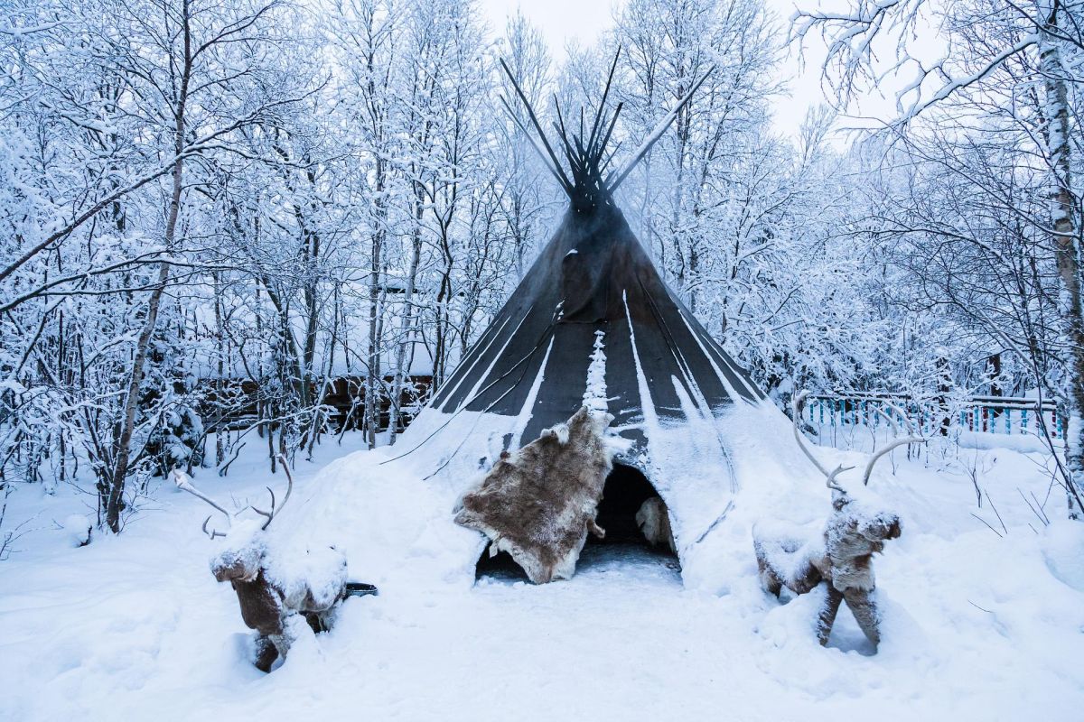 Новогодний Кольский