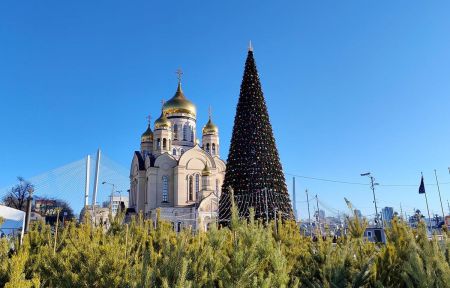 Тур "Зимний Владивосток: лучшее за 4 дня"