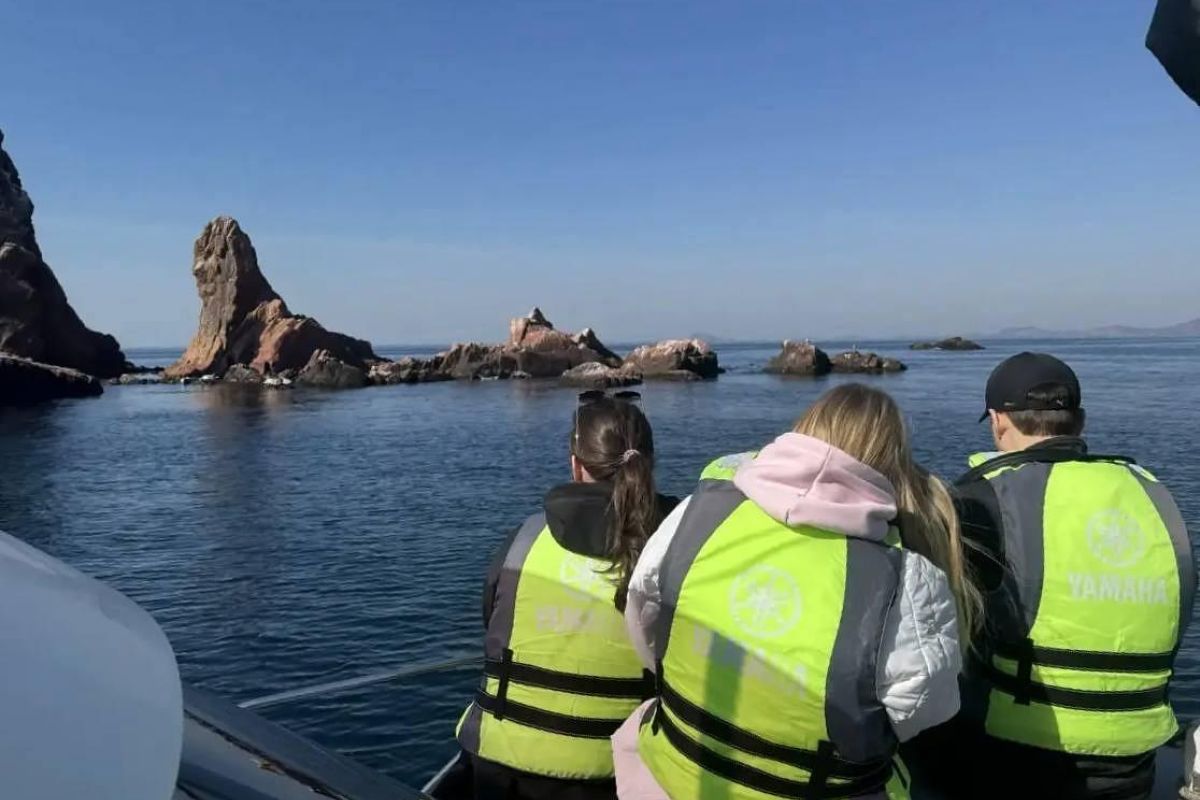 Морское приключение Владивостока: острова, скалы, морские котики и морепродукты