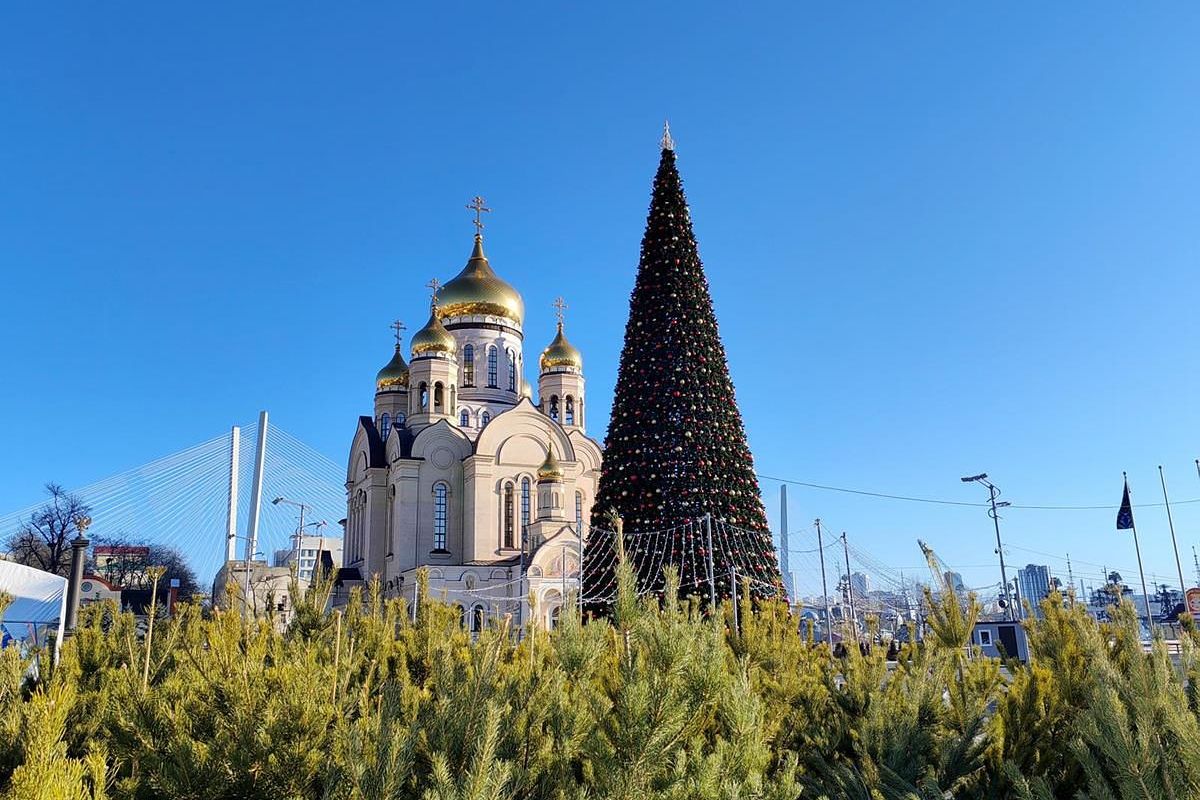 «Тур "Новый Год с видом на море"» Владивосток