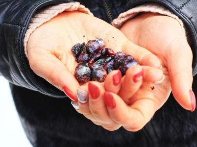 Новогоднее карельское счастье: 5 дней у Ладожского озера, грандиозный релакс!