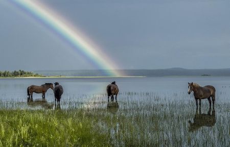В край былинный, сказочный (Кенозерье)