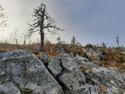 Экскурсия к мистической горе Воттоваара