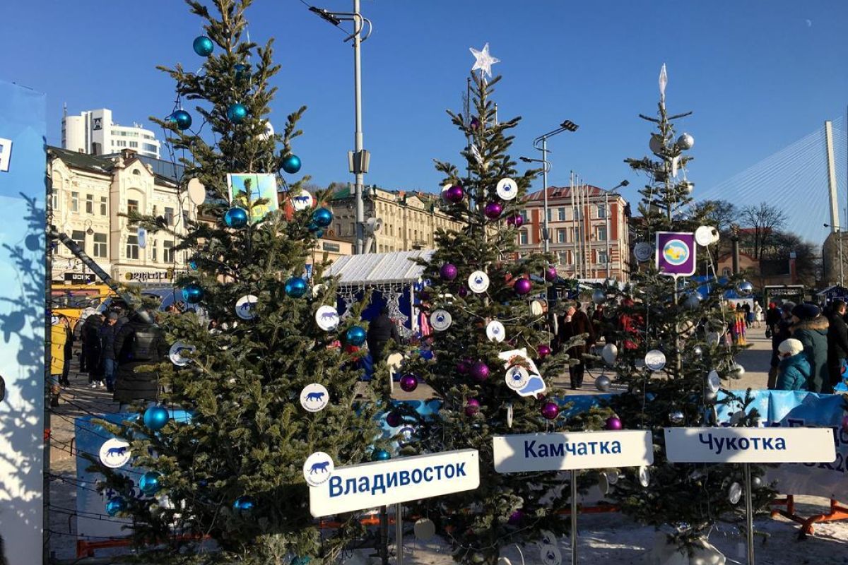 Владивосток «Тур "Море.Тигры.Рождество" (4 - 9 января 2027)»