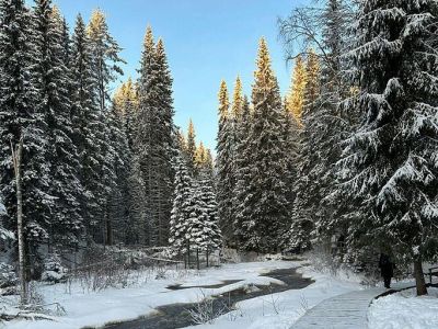 «Руны Приладожья – зимний тур из Санкт-Петербурга» Карелия