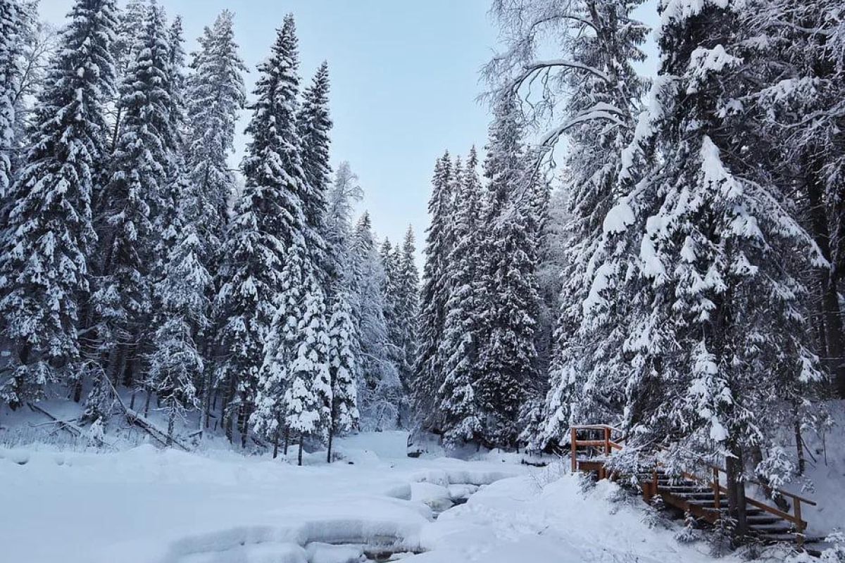 Новый Год в эко-Карелии за 3 дня: Дед Мороз Джухани, мраморный каньон Рускеала, долина водопадов и природный зоопарк!