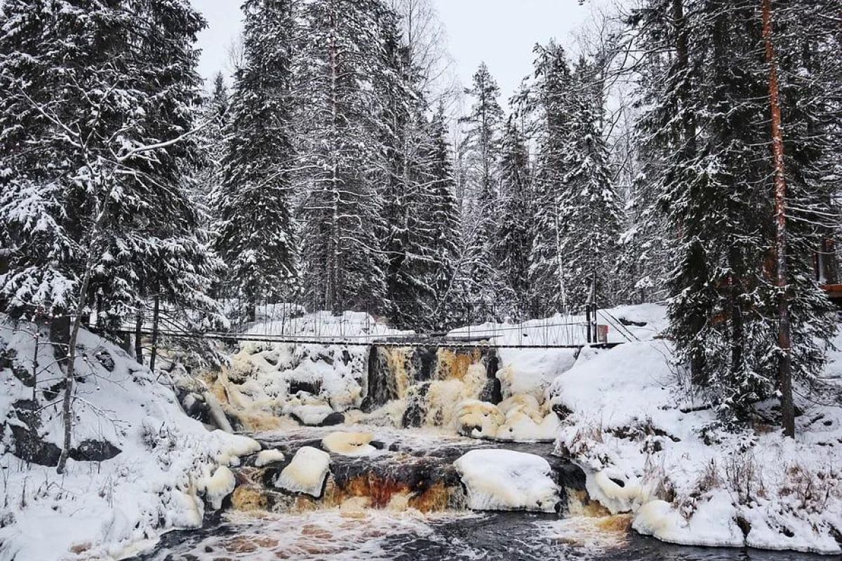 Новый Год в эко-Карелии за 3 дня: Дед Мороз Джухани, мраморный каньон Рускеала, долина водопадов и природный зоопарк!