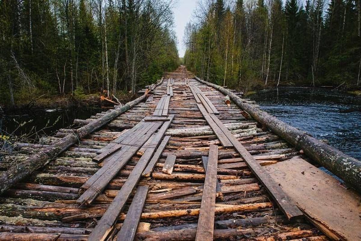 Тур на квадроциклах по карельской тайге