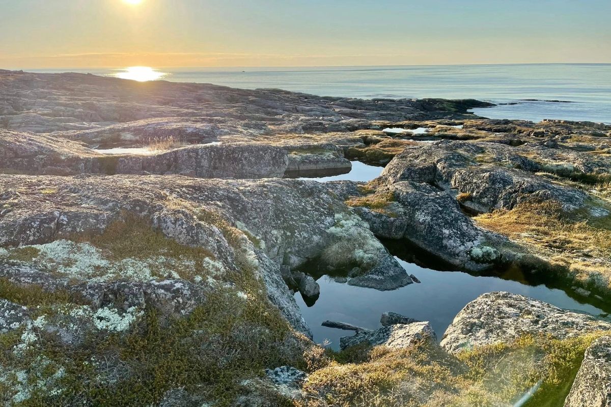 Край стихий: Киты. Океан. Горы. Водопады