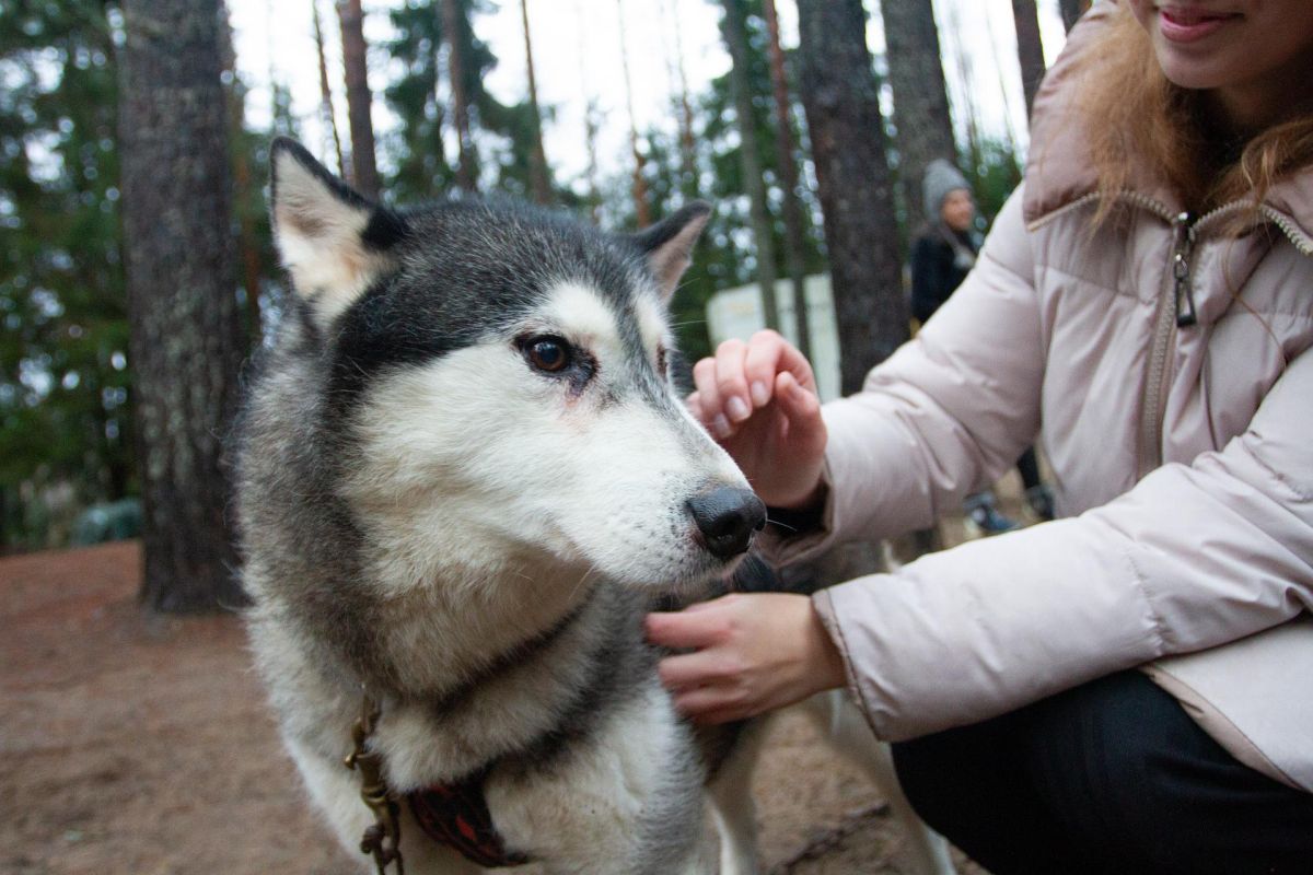 Майские праздники в Карелии