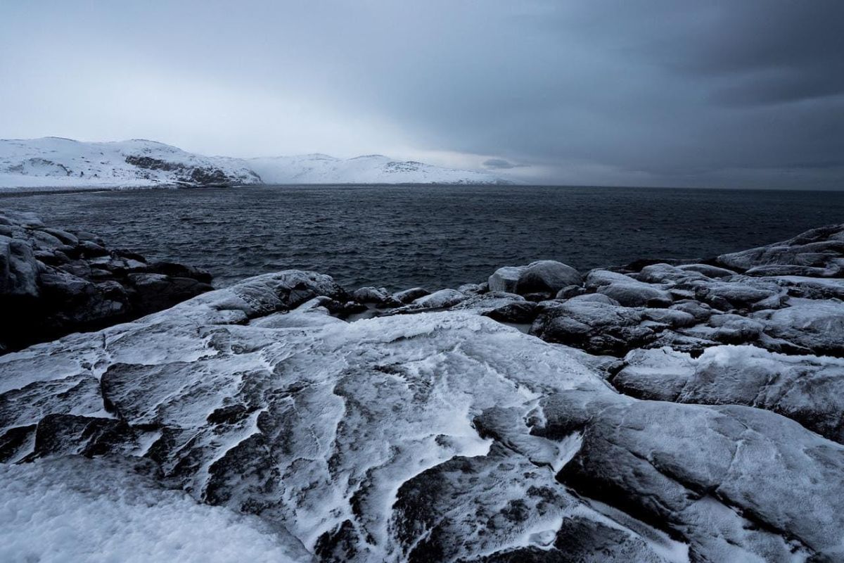 Кольский: Аврора. Море. Ты. (+морская прогулка)