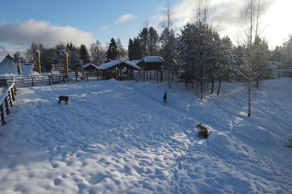 Новогодняя ночь в Карелии