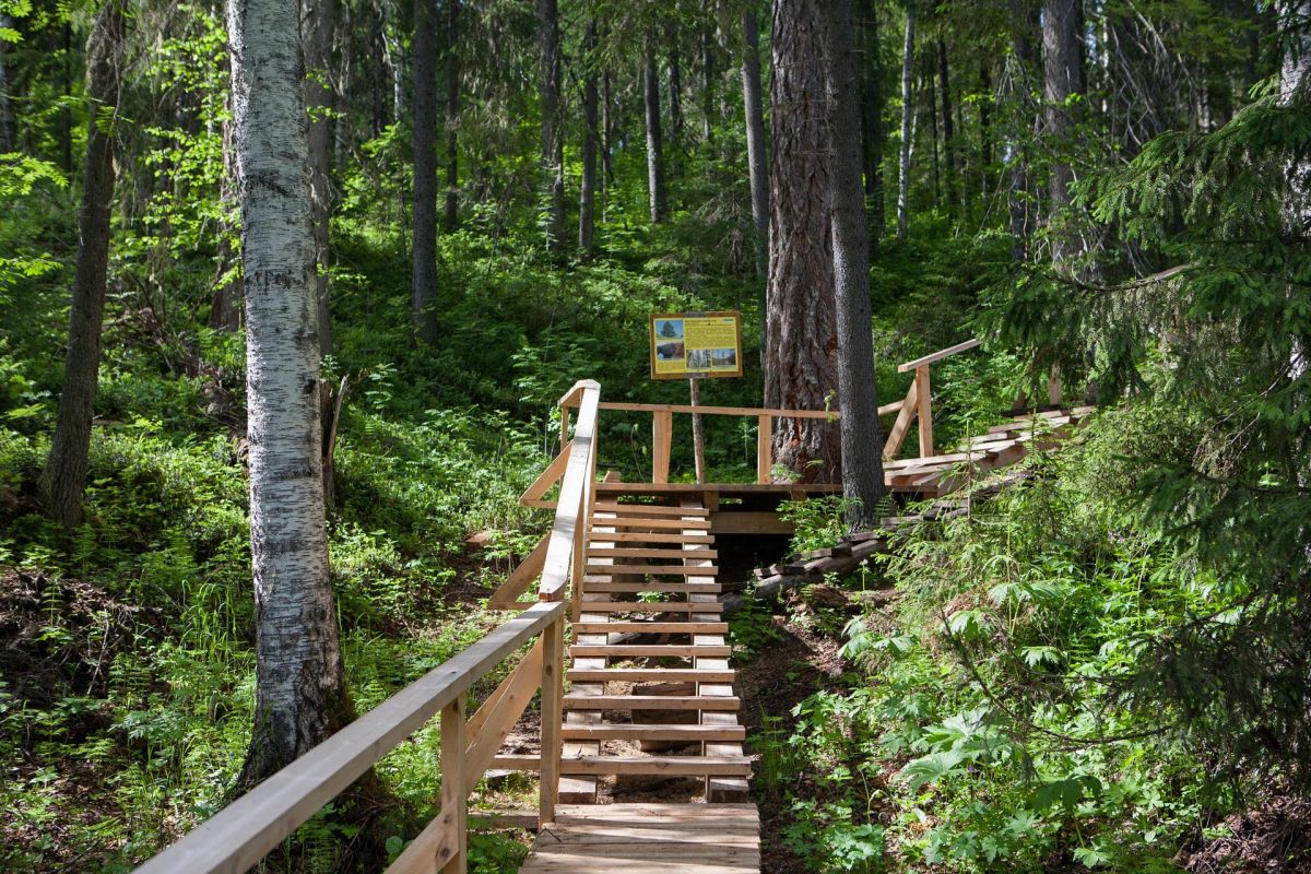 Красоты Пинежья