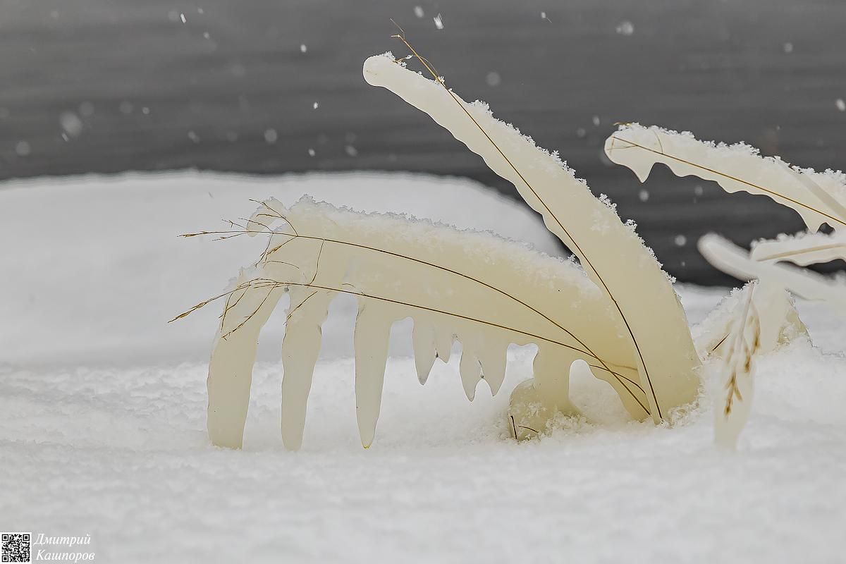 Времена года. Зимняя Карелия с фотографом