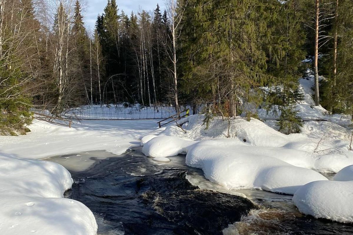 Большое путешествие по всей Карелии в Новый Год