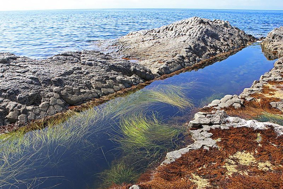 Три острова: Сахалин – Итуруп – Кунашир