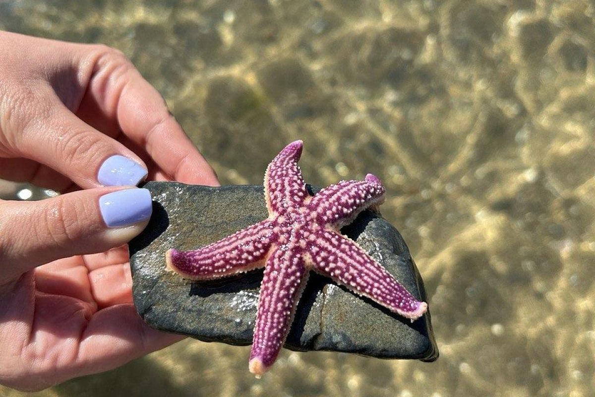 ЧУДЕСА ПРИМОРСКОГО КРАЯ