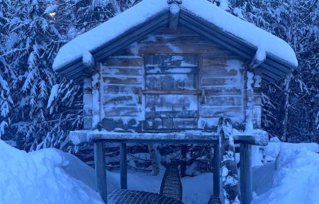 Арктическая амазонка (из Екатеринбурга)