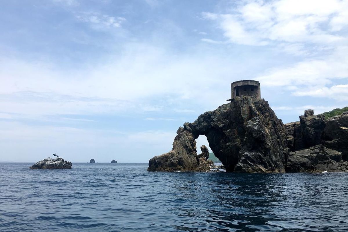 Дикая природа Приморья