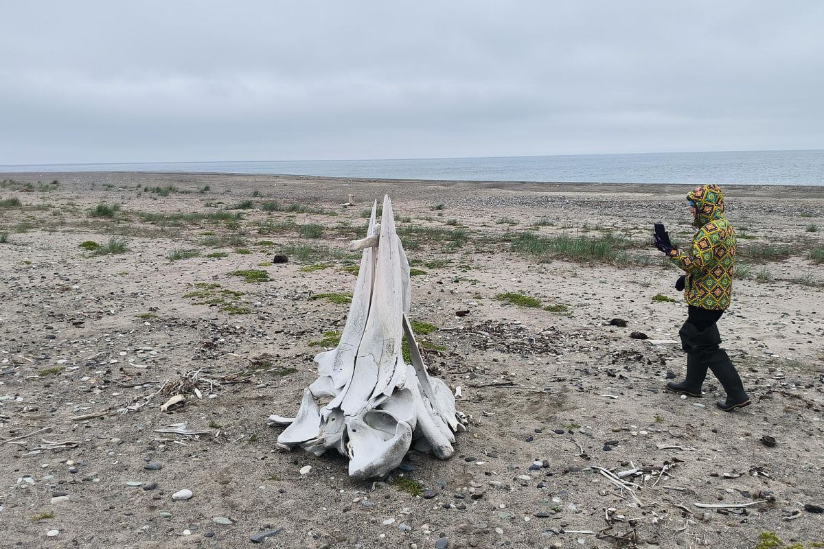 Бросок к последнему морю  (Берингово море, коса Русская Кошка)