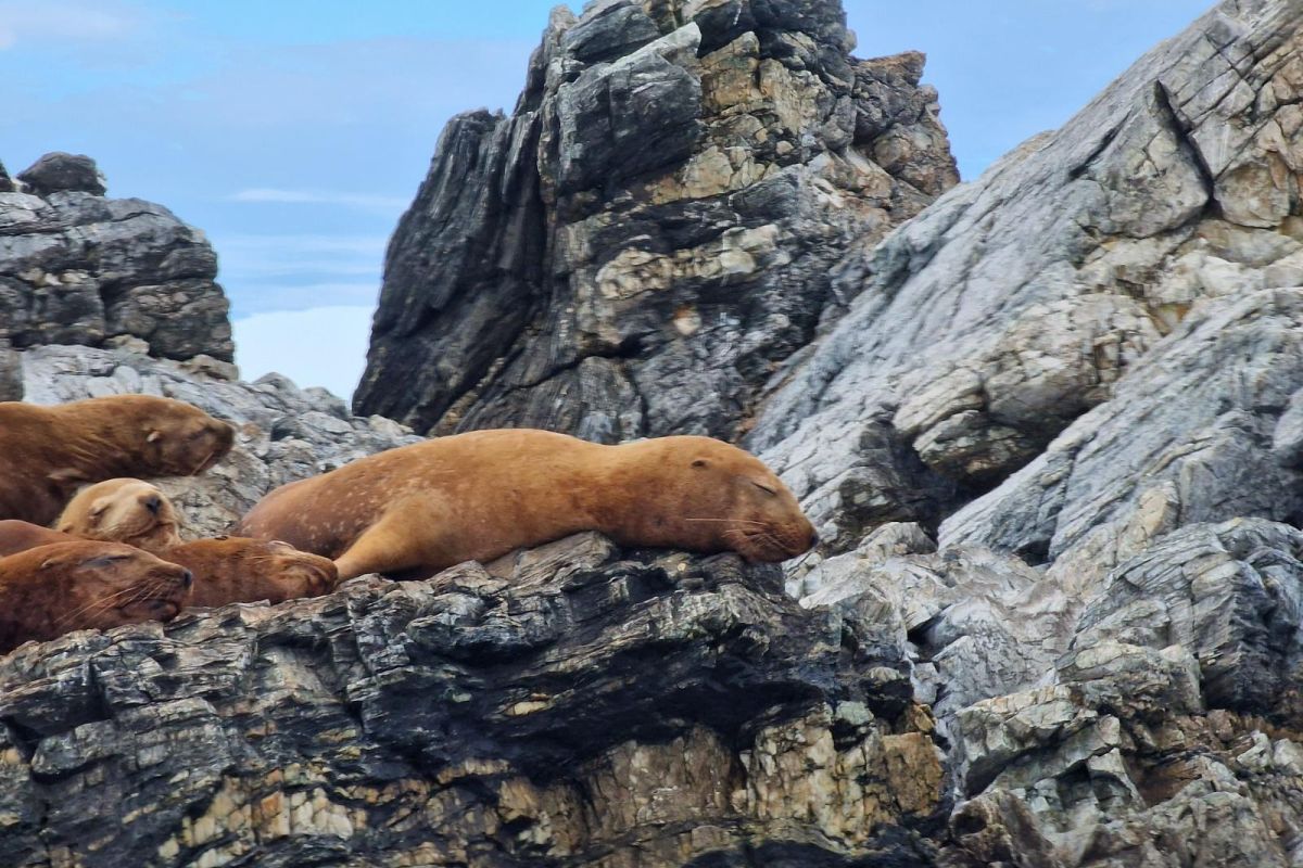 Симфония островов и горизонтов