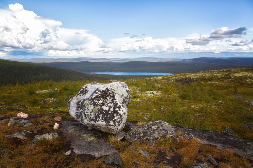 лапландский заповедник