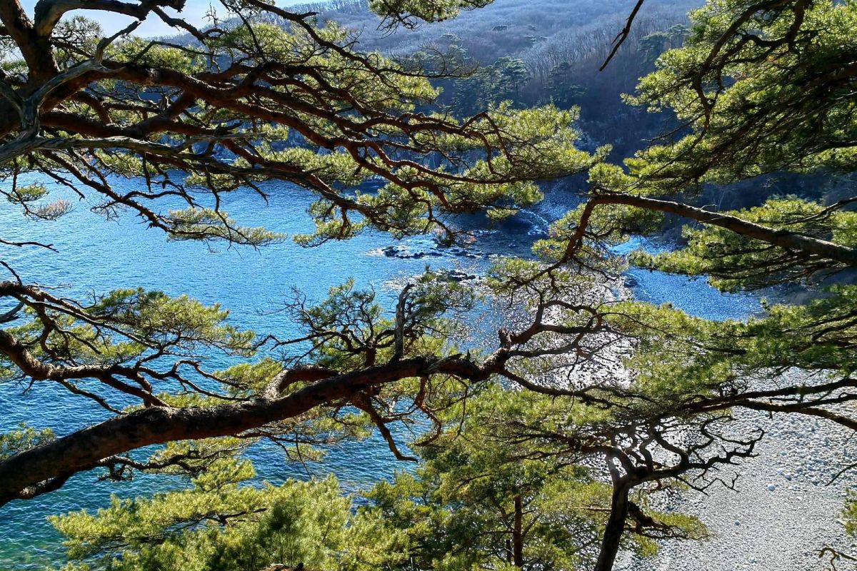 Тур-приключение по Приморью «Четыре истории»