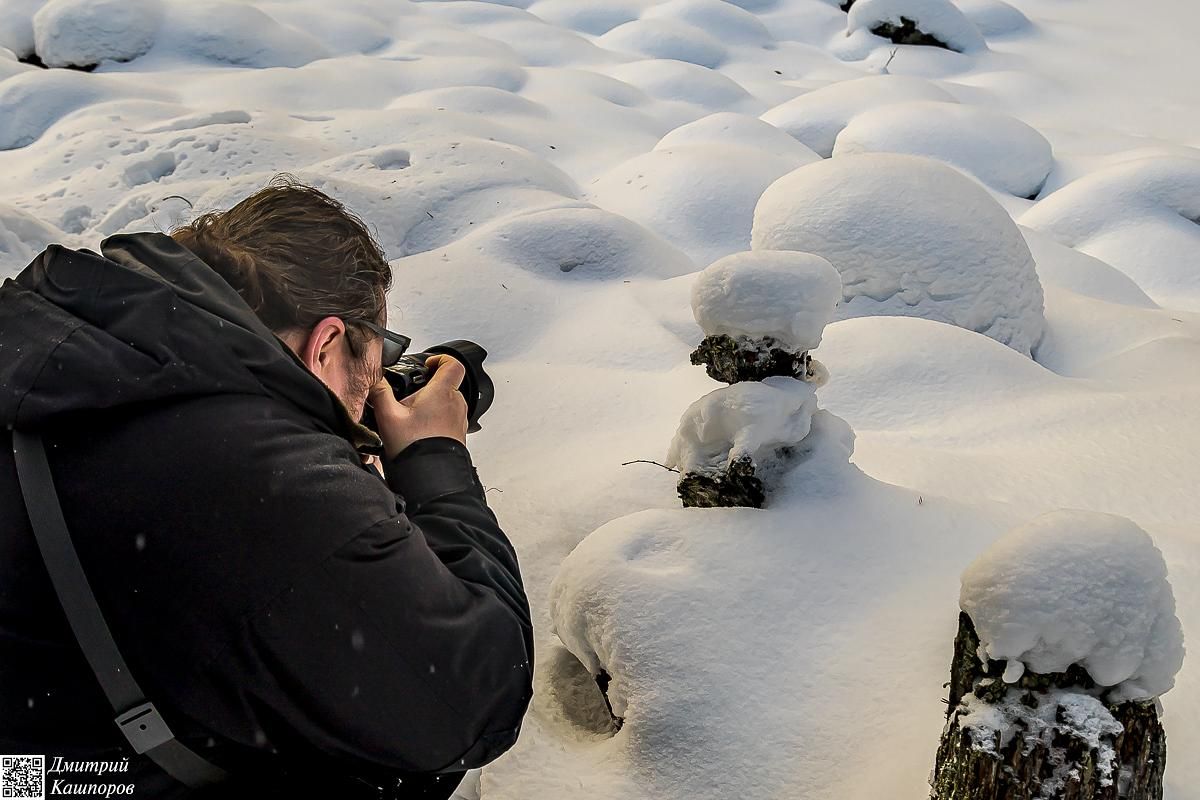 Времена года. Зимняя Карелия с фотографом