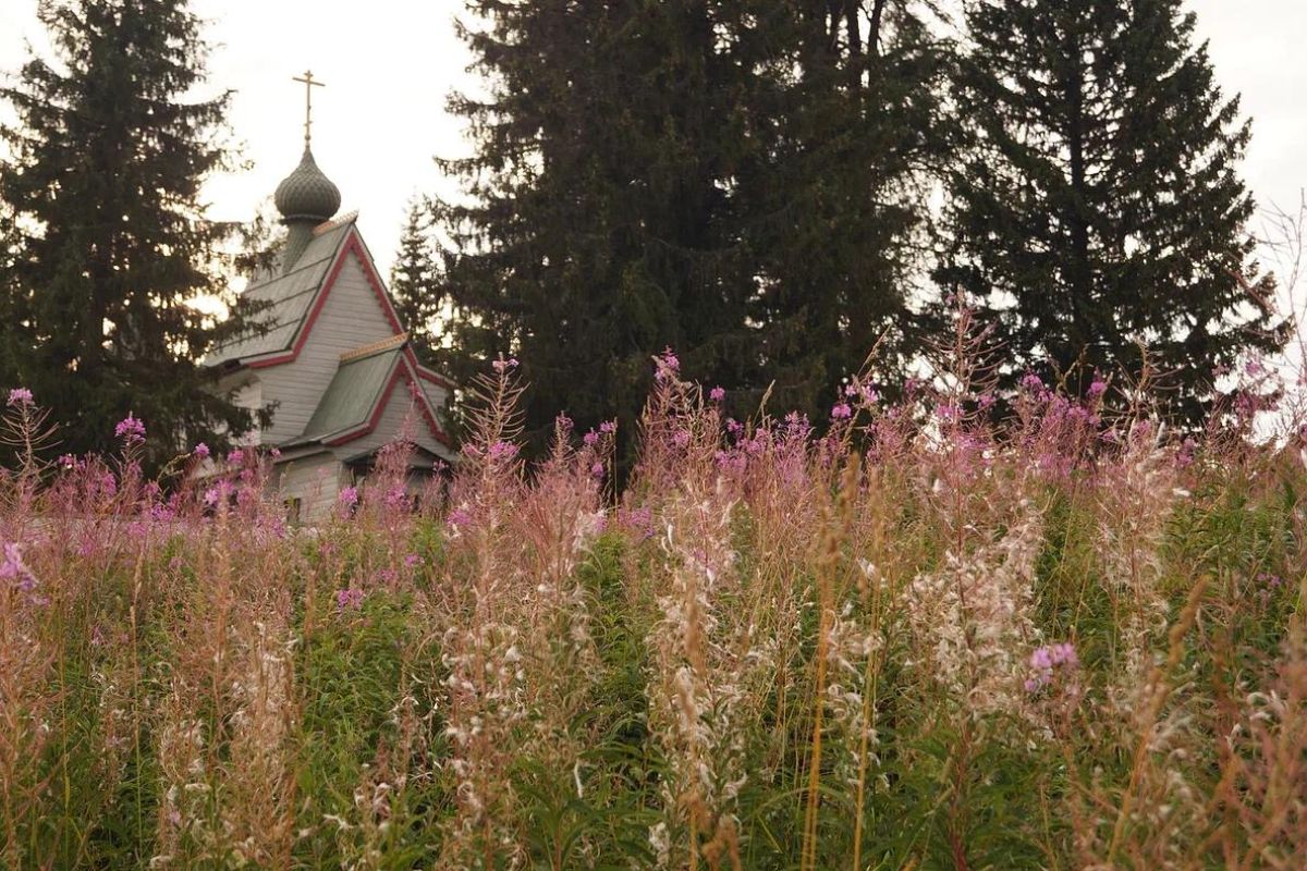 ВЕЛОстЁжка. Лето 2026