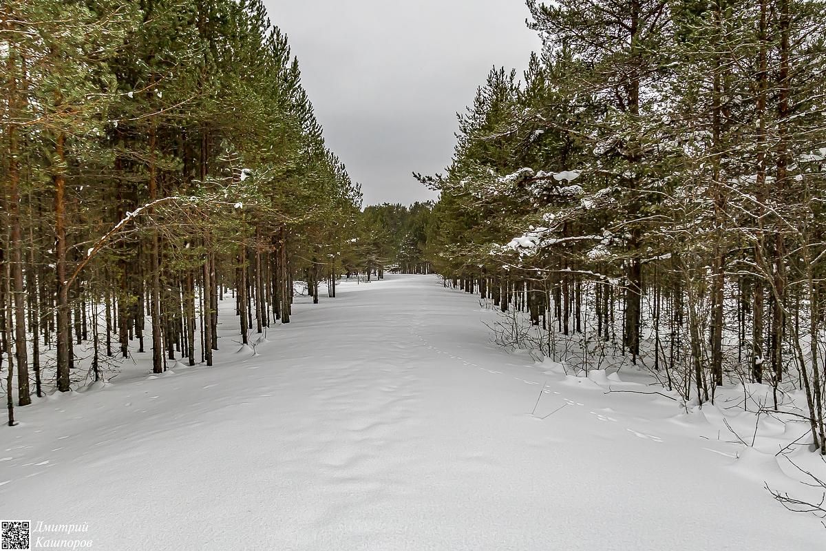 Времена года. Зимняя Карелия с фотографом