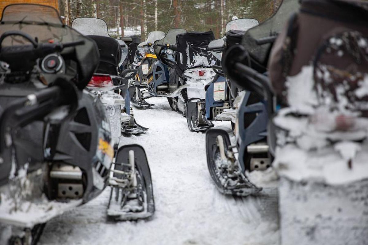 Снегоходный вираж в Карелии (экскурсия)