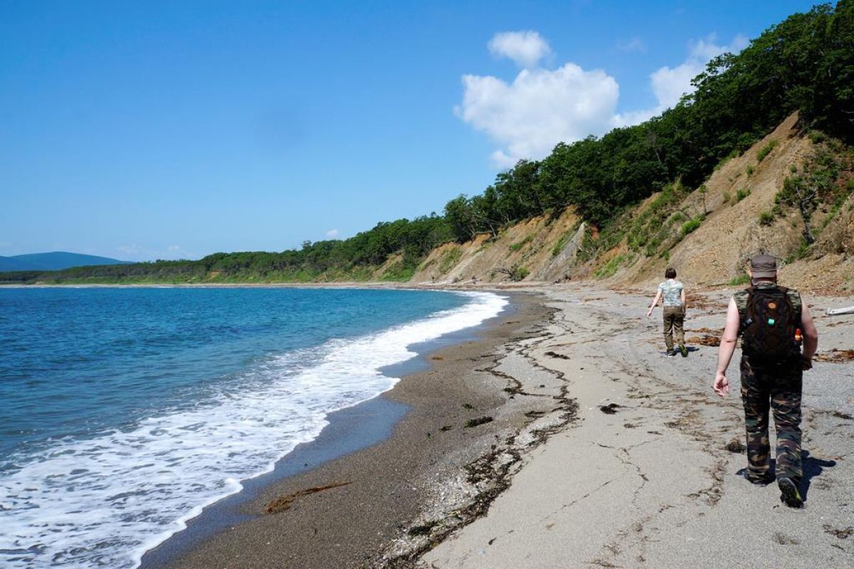 Сихотэ-Алинский заповедник: по следам амурского тигра!