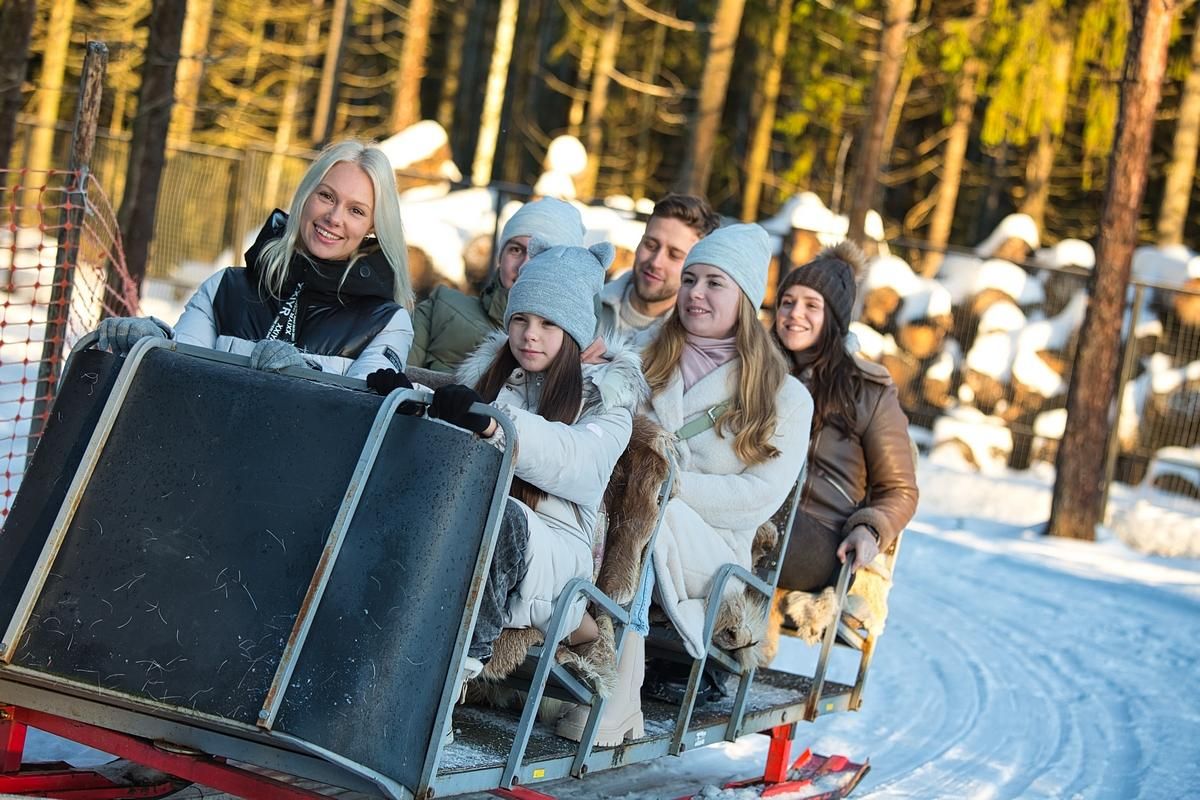 В Карелию всей семьей на 3 новогодних дня