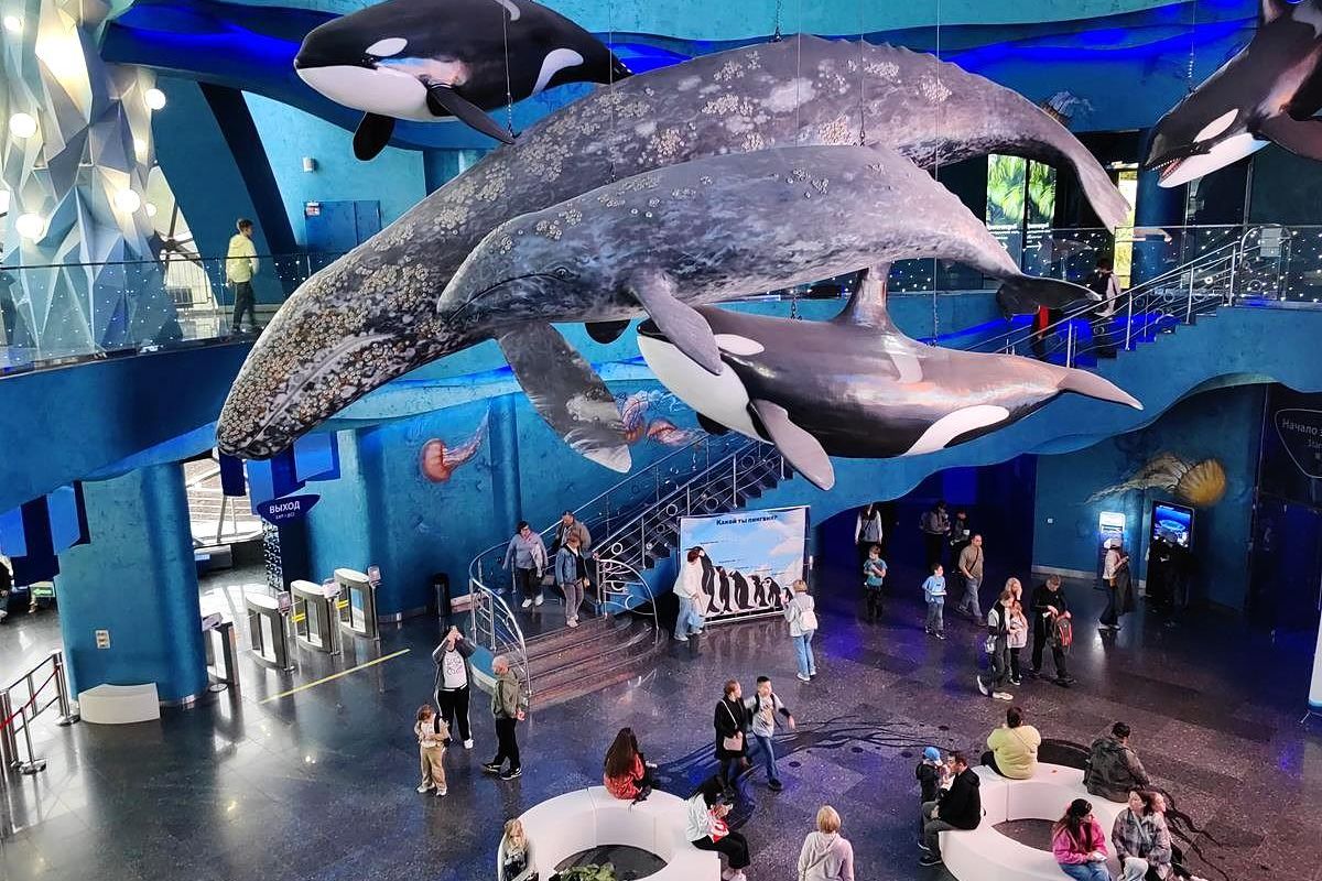 Лотосы и море – Приморье