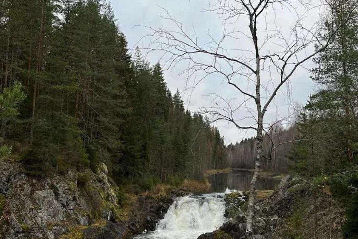 Сокровища Карелии
