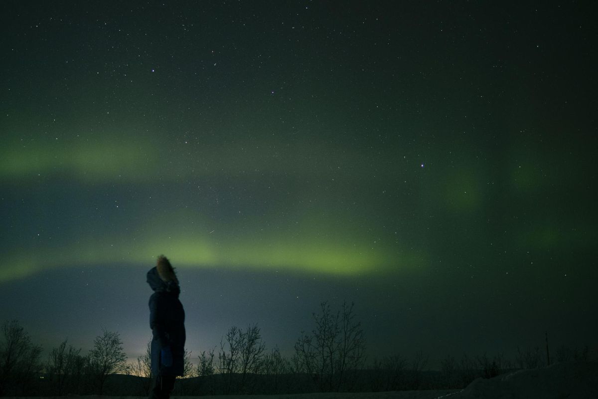 Охота за северным сиянием (Мурманск)