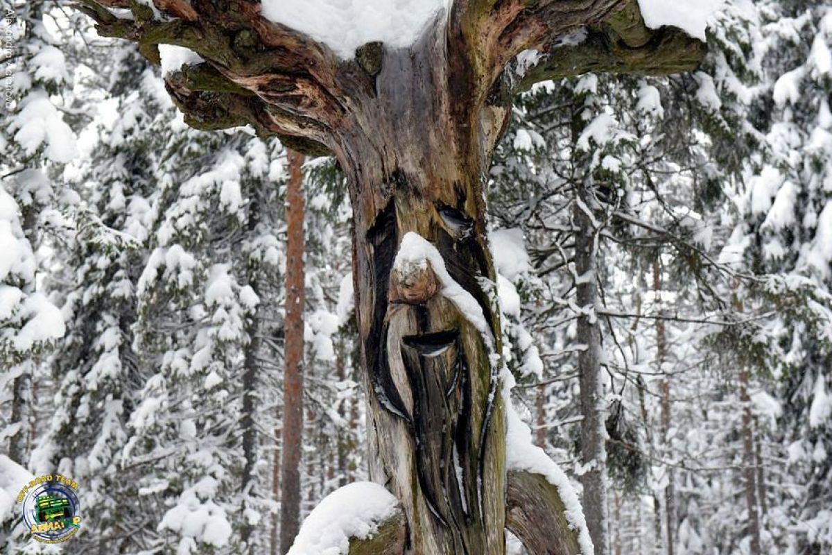 Однодневные снегоходные маршруты по Карелии